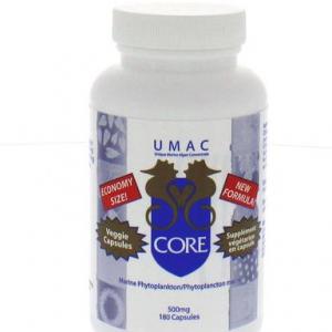 Importance of Microorganism in Supplements