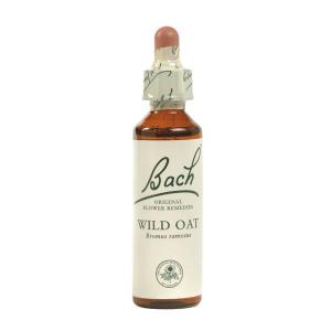 What is the importance of having the Bach Original Flower remedies?