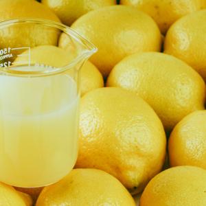 NFC Lemon Juice Market Size Analysis 2024-2032 | Report by R&I