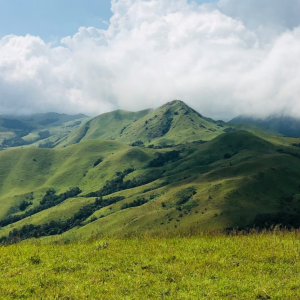 From Bengaluru to Misty Hills: Our Sakleshpur Nature Escape