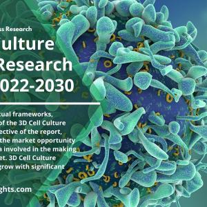 3D Cell Culture Market Report 2022 | Business Strategies and Industry Size Forecast to 2030