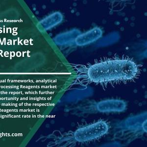 Bioprocessing Reagents Market Share, Size, Insights 2022 Movements Forecast 2030 By R&I 