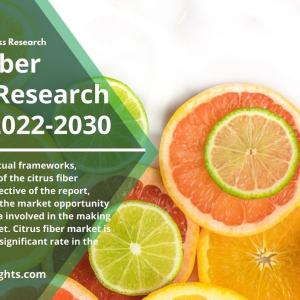 Regional Analysis of Citrus Fiber Market Report 2022 | Latest Research, Forecast 2030 By R&I