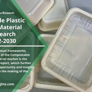 Compostable Plastic Packaging Material Market 2022 | Business Assessment till 2030 By R&I