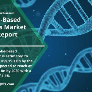DNA Probe-Based Diagnostics Market Trends, Industry Growth and Forecast to 2022-2030 By R&I