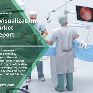 Endoscopy Visualization Systems Market Report 2022 | Trends, Sales, Opportunity Assessment till 2030