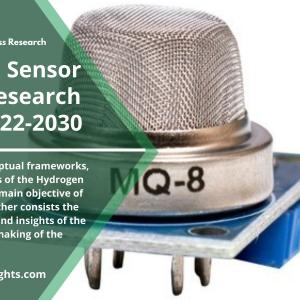 Hydrogen Sensor Market Size with Top Countries Data 2022  Strategies and SWOT Analysis 2030