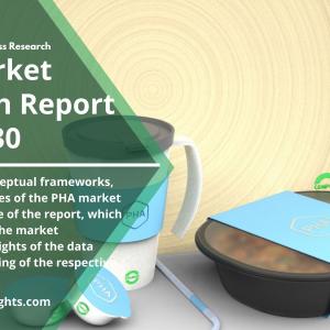 Top Countries in PHA Market: Sales, Supply-Demand, Size, Report with Forecast to 2030 | Key Players