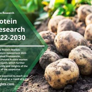 Potato Protein Market Report Share, Size, Insights 2022, Research Report by Forecast 2030 