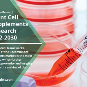 Recombinant Cell Culture Supplements Market Report 2022 | Global Growth, and Forecast 2030 By R&I