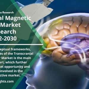 Transcranial Magnetic Stimulator Market Share, Size, Insights 2022  Forecast 2030 By R&I 
