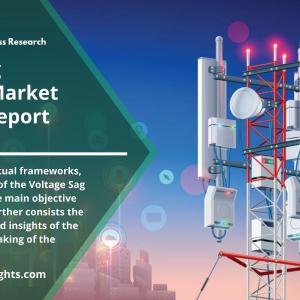 Voltage Sag Protector Market Size with Top Countries Data 2022-30, Global Business Trends by R&I