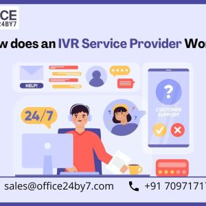 How does an IVR Service Provider Work?