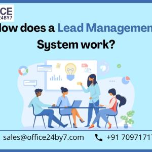 How does a Lead Management System Work?