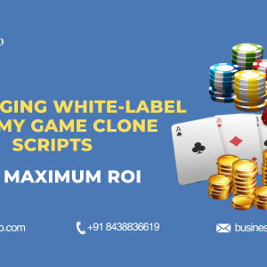 Leveraging White-Label Rummy Game Clone Scripts for Maximum ROI