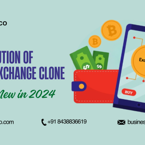 The Evolution of Crypto Exchange Clone: What's New in 2024