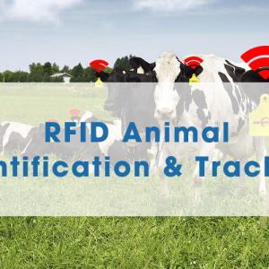 Advantages Of Rfid Technology In Animal Husbandry Management