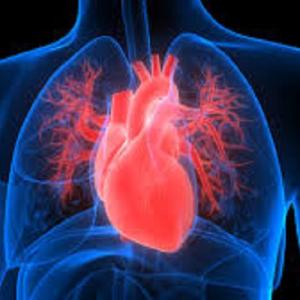 Advanced Heart Failure Market Report (2023-2033): Epidemiology, Industry Trends, Share, Size, Demand