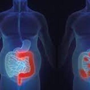 Crohn's Disease Market: Analysis of Epidemiology, Industry Trends, Size