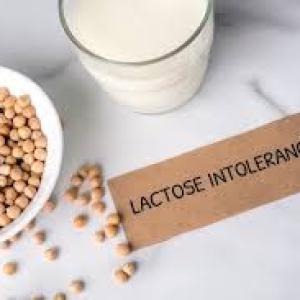 Lactose Intolerance Market Growth | Report, 2023-2033