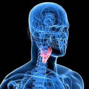 Thyroid Cancer Market Size, 2023 Analysis, Industry Trends and Forecasts to 2033