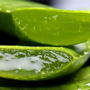 Benefits of Aloe Vera Gel