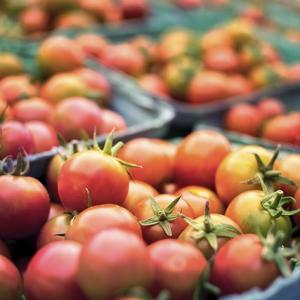 Organic lifestyle