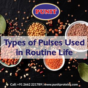 Types of Pulses Used in Routine Life