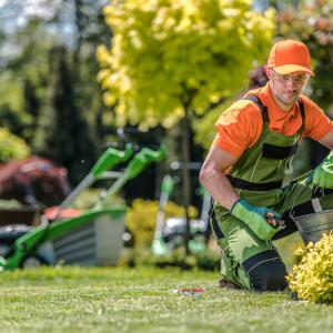 Why you ought to start landscaping right now
