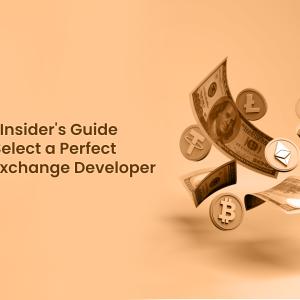 The Insider's Guide to Select a Perfect White Label Crypto Exchange Developer