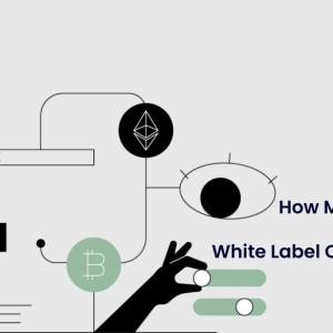  How Much Does It Cost to Develop a White-Label Crypto Exchange?