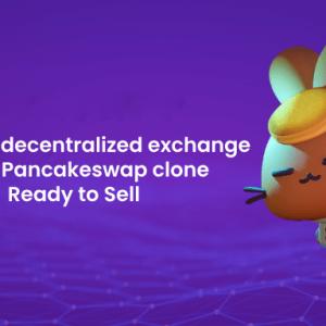 Build your decentralized exchange with a Pancakeswap clone ready to sell