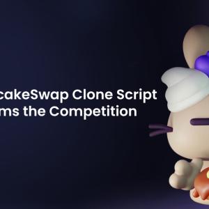 How Our PancakeSwap Clone Script Outperforms the Competition