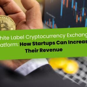 White Label Cryptocurrency Exchange Platform: How Startups Can Increase Their Revenue