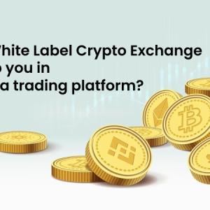 How a White Label Crypto Exchange can help you in starting a trading platform?