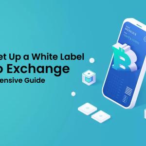 How to Set Up a White-label Crypto Exchange: A Comprehensive Guide