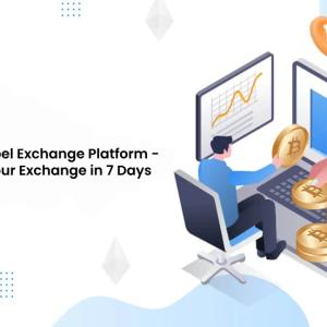  White Label Exchange Platform - Launch Your Exchange in 7 Days