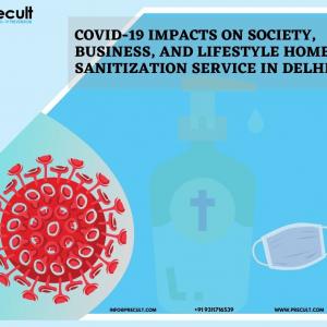 Covid-19 impacts on society, business, and lifestyle sanitization service in Delhi