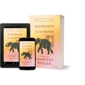 Book 'Elephants In The Room' Published by Speaking Volumes