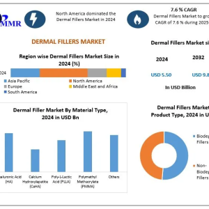 Global Dermal Fillers Market Set for 7.6% CAGR Growth Through 2032