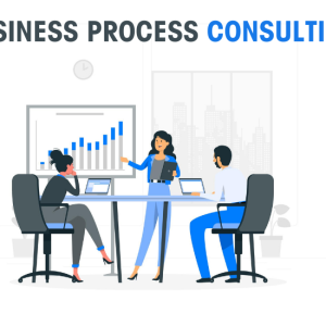 Business Process Consulting- An Overview