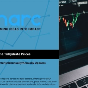 Alumina Trihydrate Prices 2025: Updates, History & Forecast
