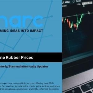 Silicone Rubber Prices 2025 | Historical & Forecast Data