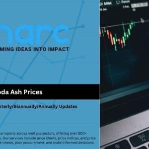 Soda Ash Price Report, Chart 2025 & Forecast Data | IMARC