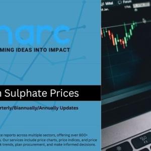 Sodium Sulphate Prices 2025 | Price Trend & Forecast Data