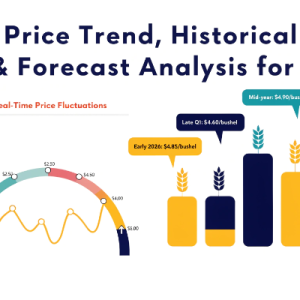 Wheat Prices 2026: Historical Price Chart, Trends & Market Data