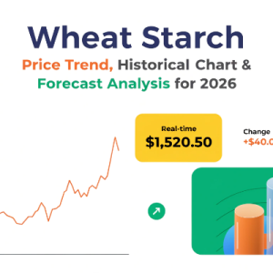 Wheat Starch Price Index 2026: Trends, Chart & Forecast Outlook