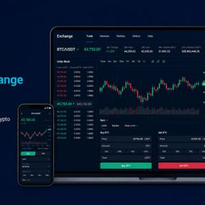 How to Choose the Right Crypto Exchange Solution for Your Business in 2026