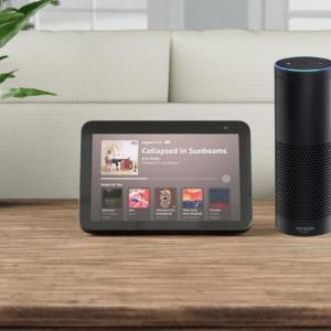 Alexa Echo Show Not Responding