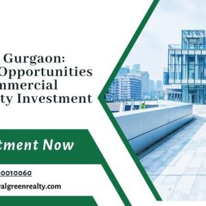 SCO in Gurgaon: Prime Opportunities for Commercial Property Investment